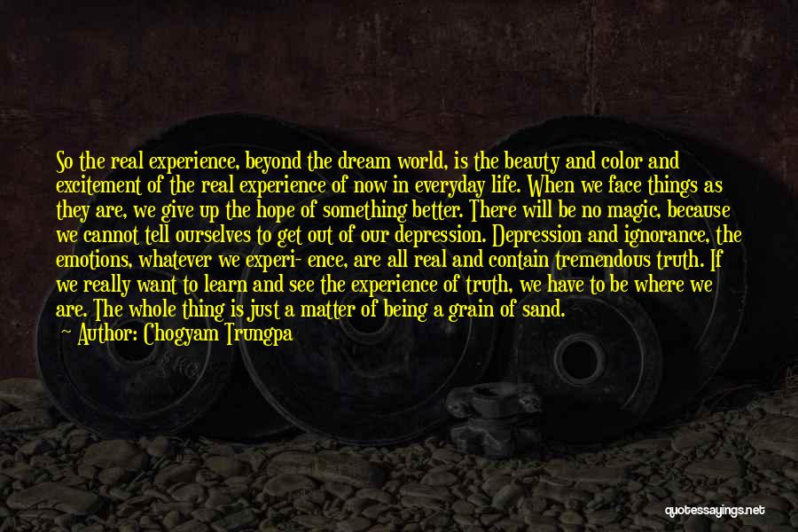 Chogyam Trungpa Quotes: So The Real Experience, Beyond The Dream World, Is The Beauty And Color And Excitement Of The Real Experience Of