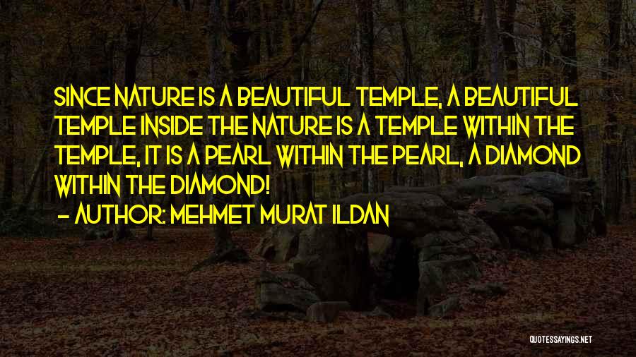 Mehmet Murat Ildan Quotes: Since Nature Is A Beautiful Temple, A Beautiful Temple Inside The Nature Is A Temple Within The Temple, It Is