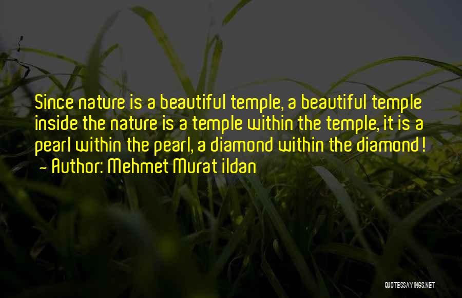 Mehmet Murat Ildan Quotes: Since Nature Is A Beautiful Temple, A Beautiful Temple Inside The Nature Is A Temple Within The Temple, It Is