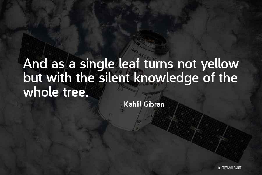 24north Quotes By Kahlil Gibran 24north Quotes By Kahlil Gibran