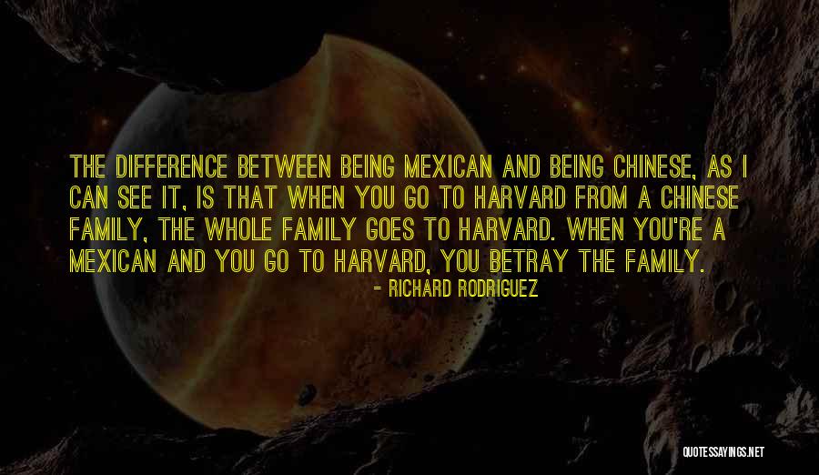 25 Most Important Geologist Quotes By Richard Rodriguez 25 Most Important Geologist Quotes By Richard Rodriguez