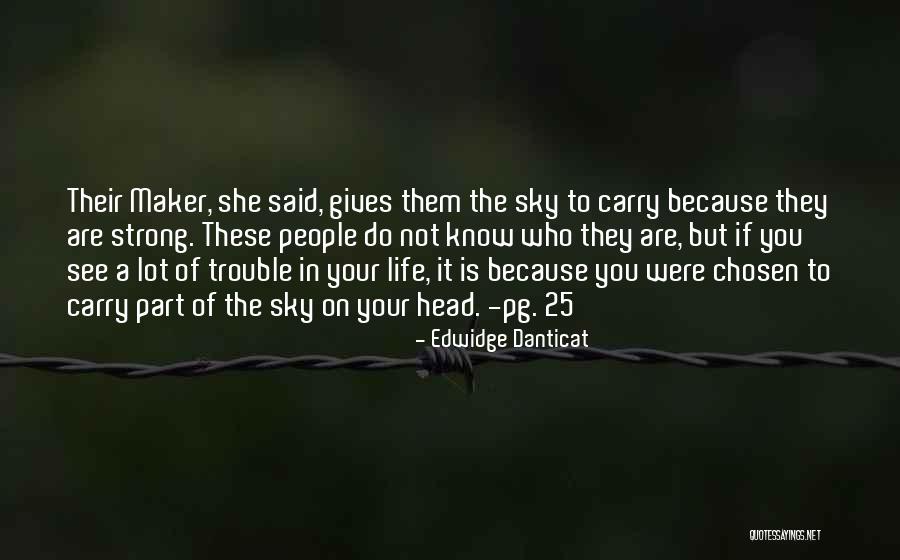 25 To Life Quotes By Edwidge Danticat