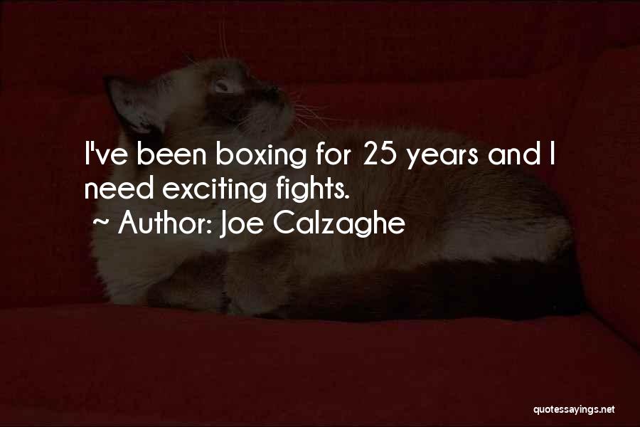 25 Years Quotes By Joe Calzaghe