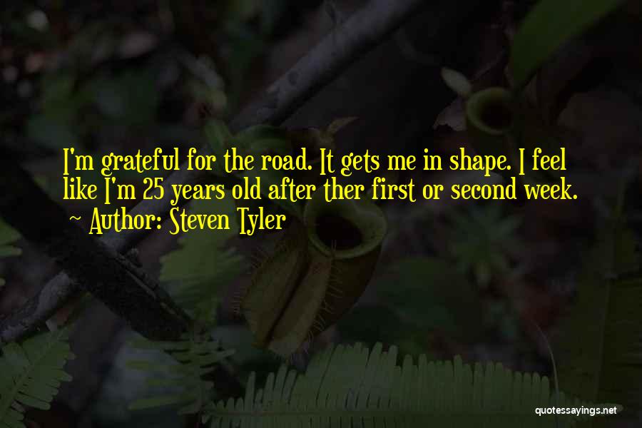 25 Years Quotes By Steven Tyler