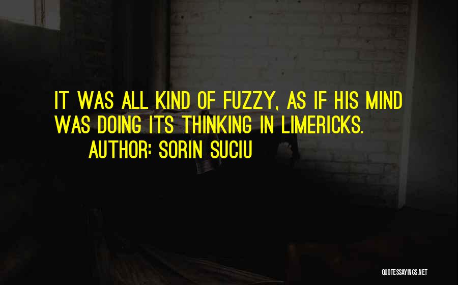 Sorin Suciu Quotes: It Was All Kind Of Fuzzy, As If His Mind Was Doing Its Thinking In Limericks.