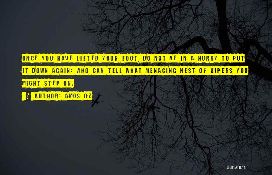 Amos Oz Quotes: Once You Have Lifted Your Foot, Do Not Be In A Hurry To Put It Down Again: Who Can Tell