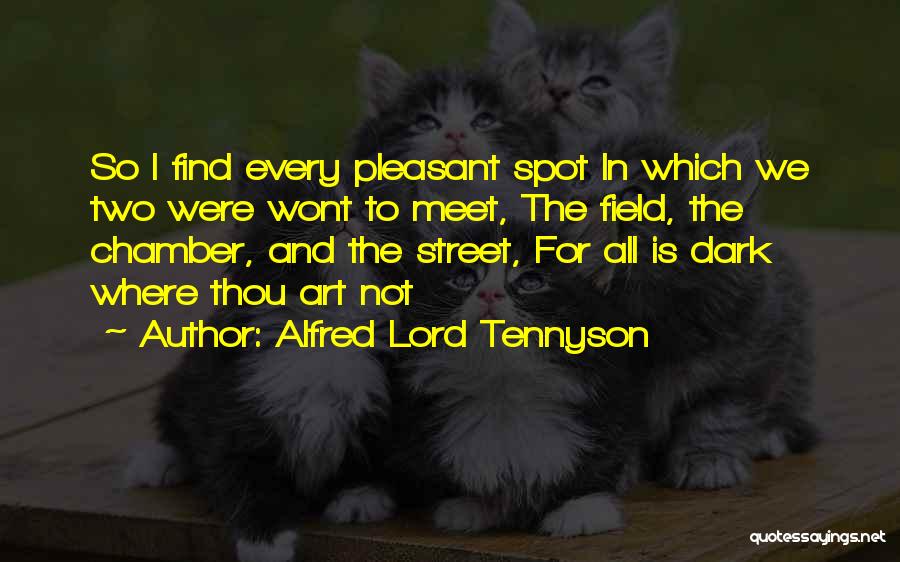 Alfred Lord Tennyson Quotes: So I Find Every Pleasant Spot In Which We Two Were Wont To Meet, The Field, The Chamber, And The