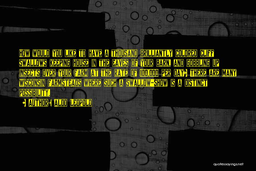 Aldo Leopold Quotes: How Would You Like To Have A Thousand Brilliantly Colored Cliff Swallows Keeping House In The Eaves Of Your Barn,
