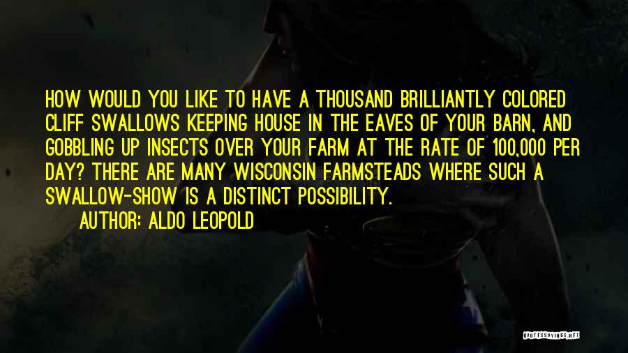 Aldo Leopold Quotes: How Would You Like To Have A Thousand Brilliantly Colored Cliff Swallows Keeping House In The Eaves Of Your Barn,