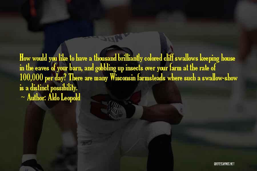 Aldo Leopold Quotes: How Would You Like To Have A Thousand Brilliantly Colored Cliff Swallows Keeping House In The Eaves Of Your Barn,