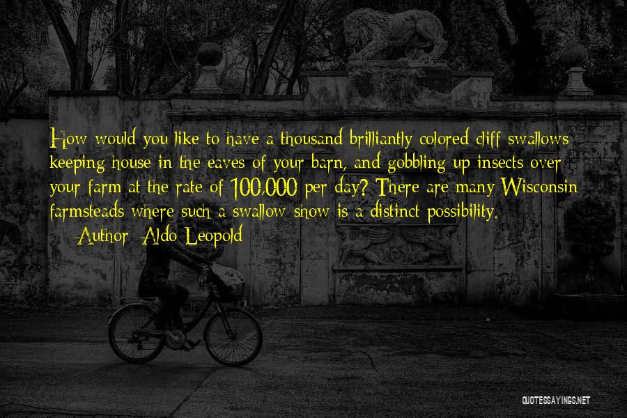Aldo Leopold Quotes: How Would You Like To Have A Thousand Brilliantly Colored Cliff Swallows Keeping House In The Eaves Of Your Barn,