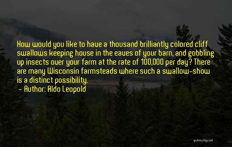 Aldo Leopold Quotes: How Would You Like To Have A Thousand Brilliantly Colored Cliff Swallows Keeping House In The Eaves Of Your Barn,
