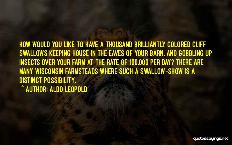 Aldo Leopold Quotes: How Would You Like To Have A Thousand Brilliantly Colored Cliff Swallows Keeping House In The Eaves Of Your Barn,