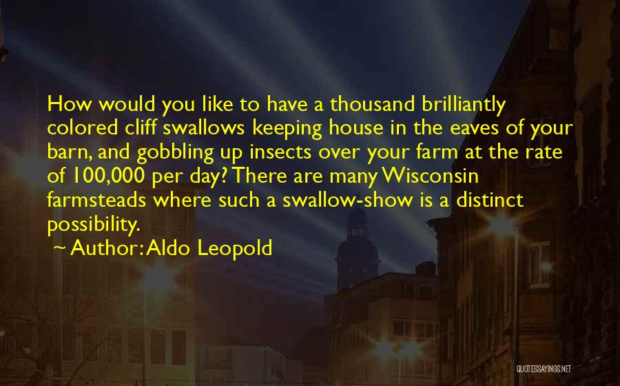 Aldo Leopold Quotes: How Would You Like To Have A Thousand Brilliantly Colored Cliff Swallows Keeping House In The Eaves Of Your Barn,