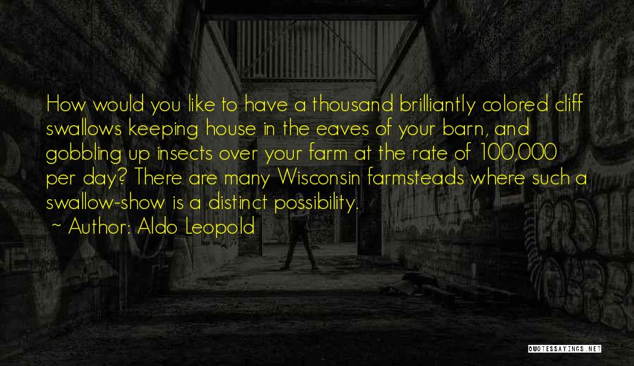 Aldo Leopold Quotes: How Would You Like To Have A Thousand Brilliantly Colored Cliff Swallows Keeping House In The Eaves Of Your Barn,