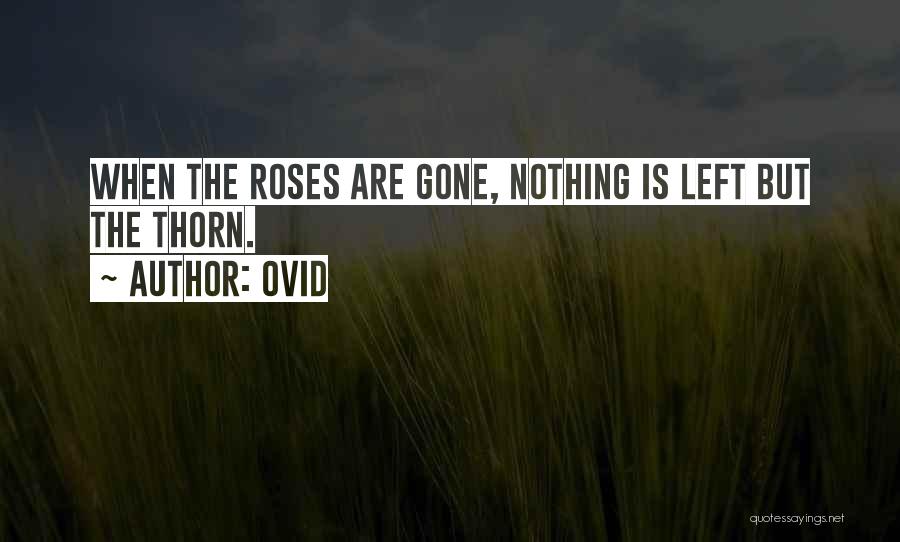 Ovid Quotes: When The Roses Are Gone, Nothing Is Left But The Thorn.