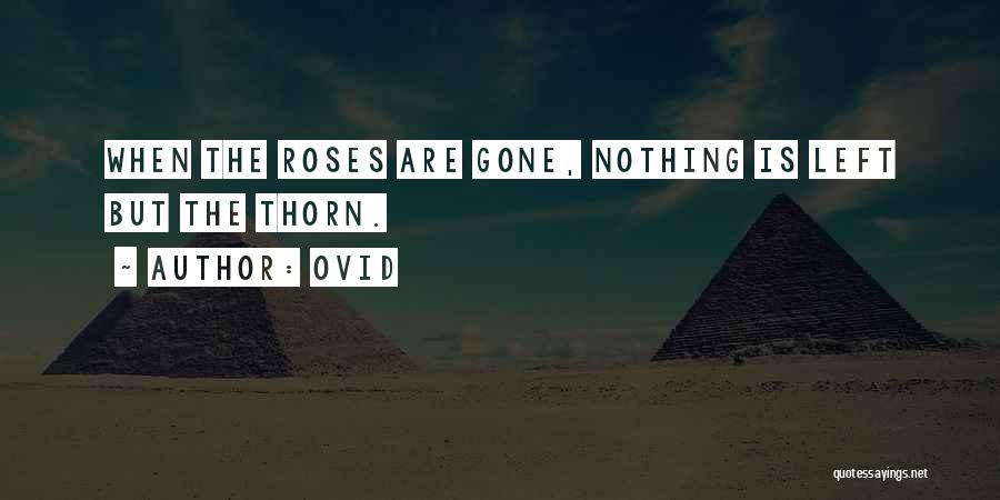 Ovid Quotes: When The Roses Are Gone, Nothing Is Left But The Thorn.