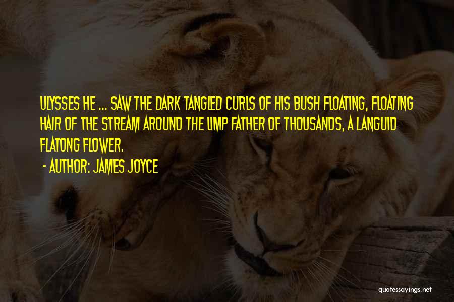 James Joyce Quotes: Ulysses He ... Saw The Dark Tangled Curls Of His Bush Floating, Floating Hair Of The Stream Around The Limp