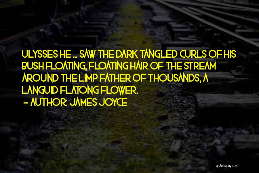 James Joyce Quotes: Ulysses He ... Saw The Dark Tangled Curls Of His Bush Floating, Floating Hair Of The Stream Around The Limp