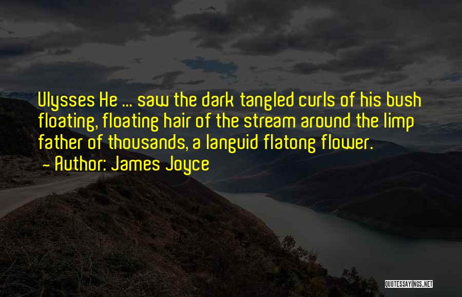 James Joyce Quotes: Ulysses He ... Saw The Dark Tangled Curls Of His Bush Floating, Floating Hair Of The Stream Around The Limp