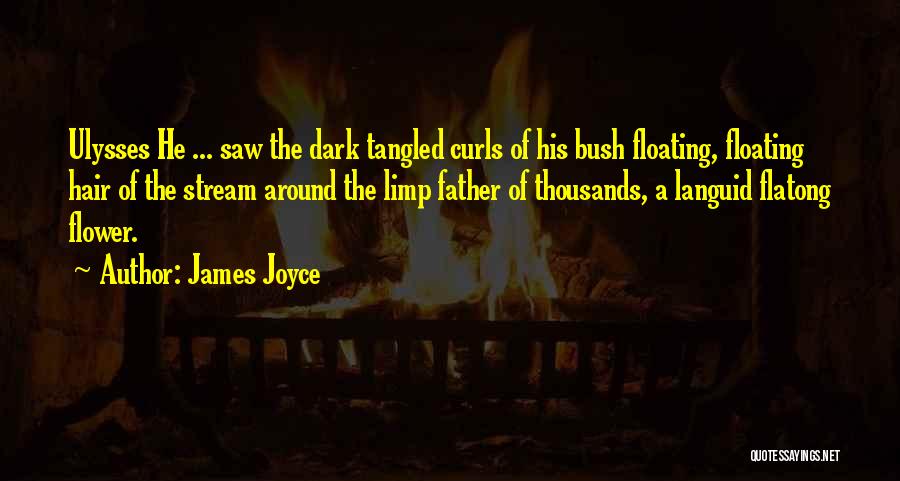James Joyce Quotes: Ulysses He ... Saw The Dark Tangled Curls Of His Bush Floating, Floating Hair Of The Stream Around The Limp