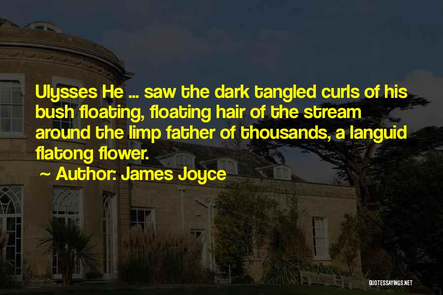 James Joyce Quotes: Ulysses He ... Saw The Dark Tangled Curls Of His Bush Floating, Floating Hair Of The Stream Around The Limp