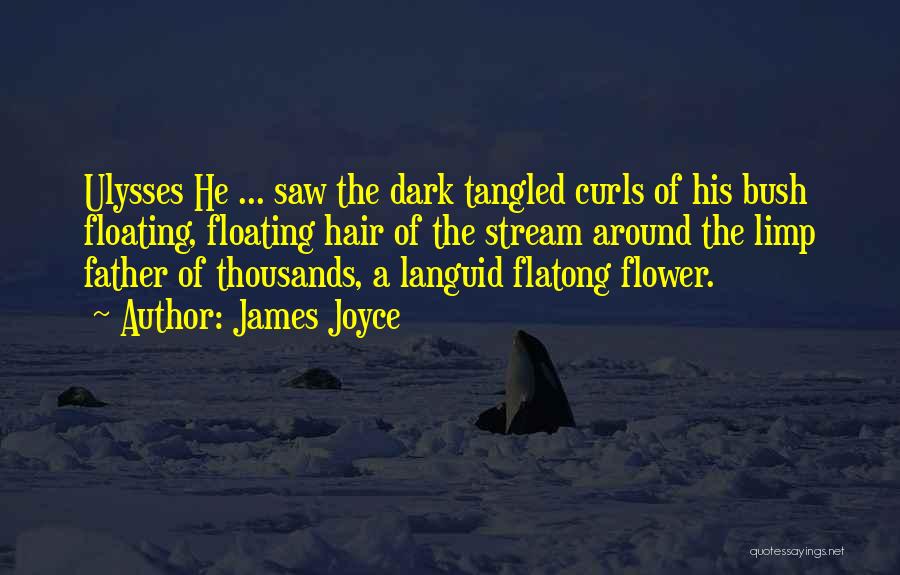 James Joyce Quotes: Ulysses He ... Saw The Dark Tangled Curls Of His Bush Floating, Floating Hair Of The Stream Around The Limp