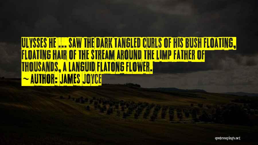 James Joyce Quotes: Ulysses He ... Saw The Dark Tangled Curls Of His Bush Floating, Floating Hair Of The Stream Around The Limp