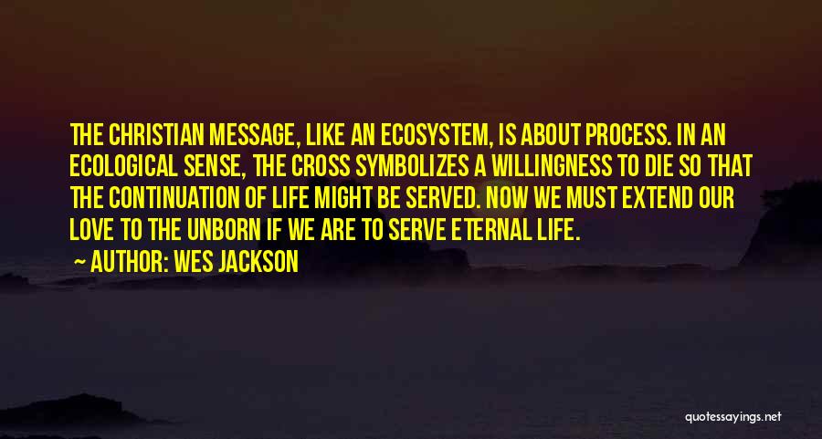 Wes Jackson Quotes: The Christian Message, Like An Ecosystem, Is About Process. In An Ecological Sense, The Cross Symbolizes A Willingness To Die