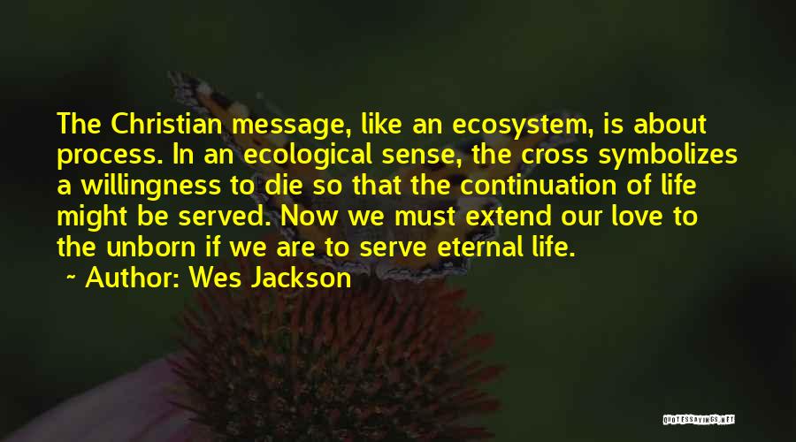 Wes Jackson Quotes: The Christian Message, Like An Ecosystem, Is About Process. In An Ecological Sense, The Cross Symbolizes A Willingness To Die