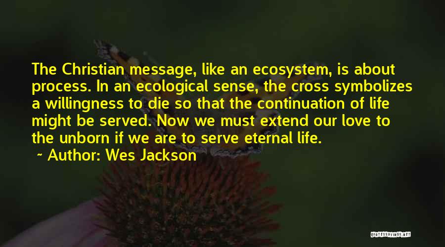 Wes Jackson Quotes: The Christian Message, Like An Ecosystem, Is About Process. In An Ecological Sense, The Cross Symbolizes A Willingness To Die