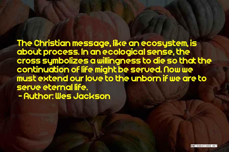 Wes Jackson Quotes: The Christian Message, Like An Ecosystem, Is About Process. In An Ecological Sense, The Cross Symbolizes A Willingness To Die