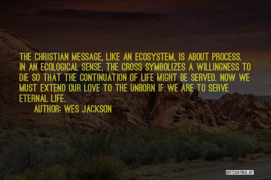 Wes Jackson Quotes: The Christian Message, Like An Ecosystem, Is About Process. In An Ecological Sense, The Cross Symbolizes A Willingness To Die