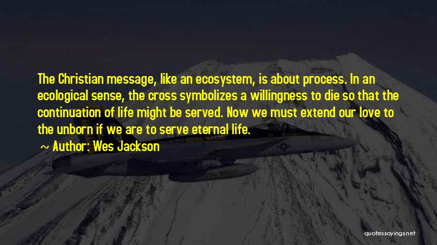 Wes Jackson Quotes: The Christian Message, Like An Ecosystem, Is About Process. In An Ecological Sense, The Cross Symbolizes A Willingness To Die