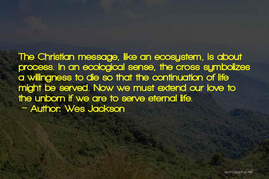Wes Jackson Quotes: The Christian Message, Like An Ecosystem, Is About Process. In An Ecological Sense, The Cross Symbolizes A Willingness To Die
