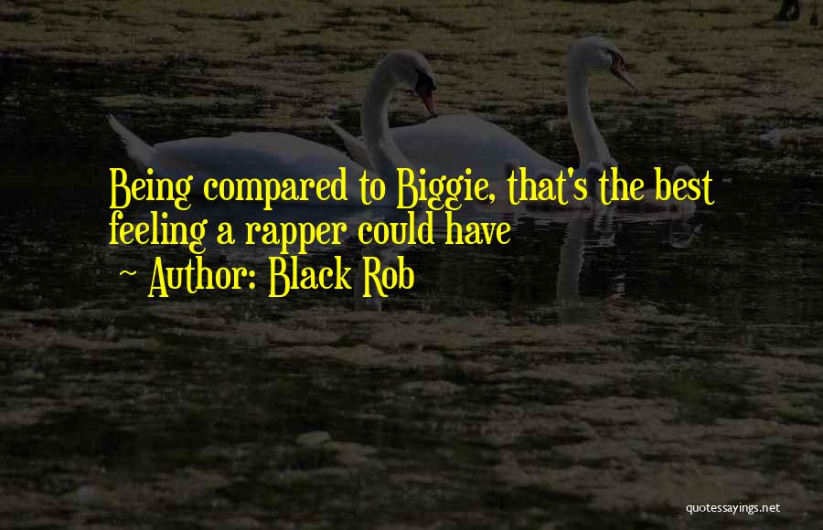 Black Rob Quotes: Being Compared To Biggie, That's The Best Feeling A Rapper Could Have