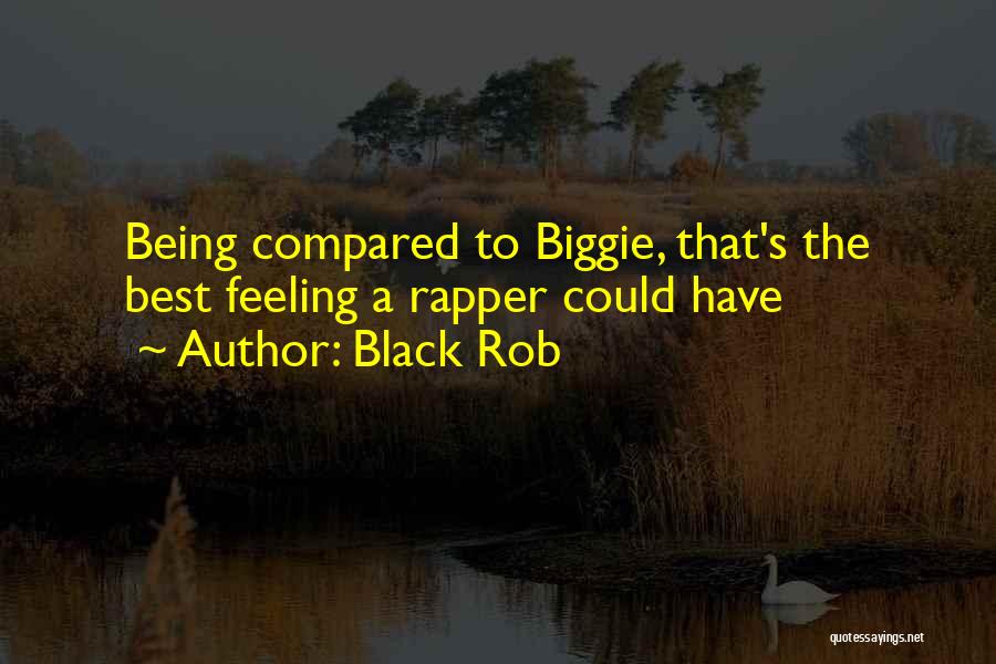 Black Rob Quotes: Being Compared To Biggie, That's The Best Feeling A Rapper Could Have