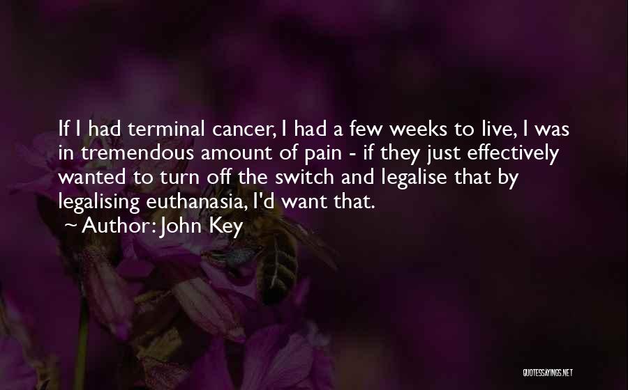 John Key Quotes: If I Had Terminal Cancer, I Had A Few Weeks To Live, I Was In Tremendous Amount Of Pain -