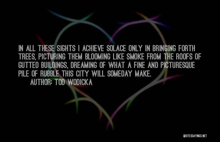 Tod Wodicka Quotes: In All These Sights I Achieve Solace Only In Bringing Forth Trees, Picturing Them Blooming Like Smoke From The Roofs