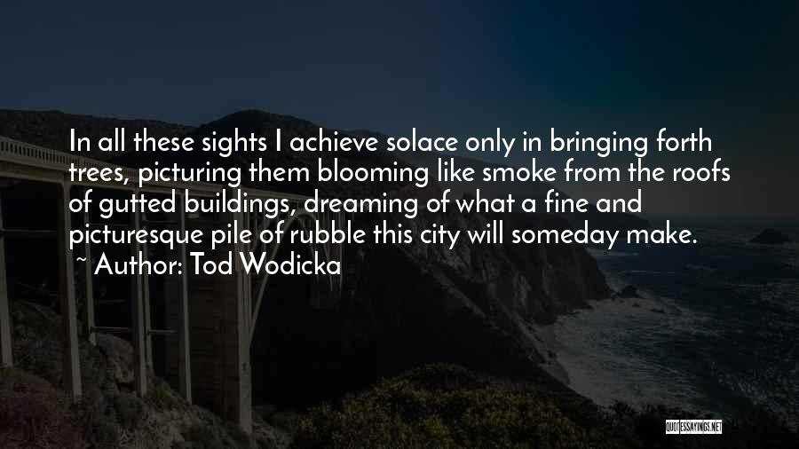 Tod Wodicka Quotes: In All These Sights I Achieve Solace Only In Bringing Forth Trees, Picturing Them Blooming Like Smoke From The Roofs