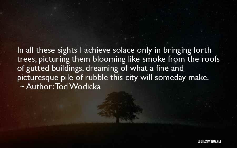 Tod Wodicka Quotes: In All These Sights I Achieve Solace Only In Bringing Forth Trees, Picturing Them Blooming Like Smoke From The Roofs