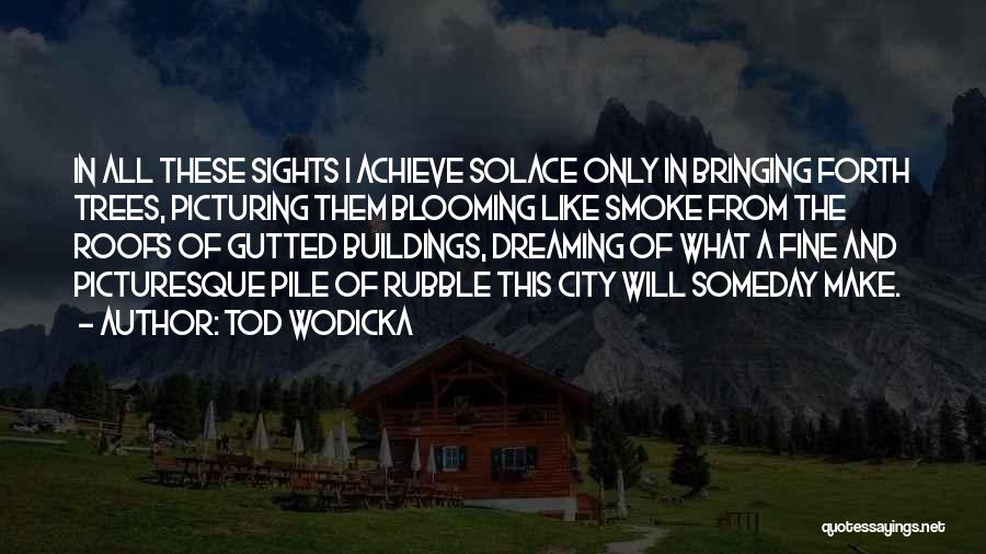 Tod Wodicka Quotes: In All These Sights I Achieve Solace Only In Bringing Forth Trees, Picturing Them Blooming Like Smoke From The Roofs