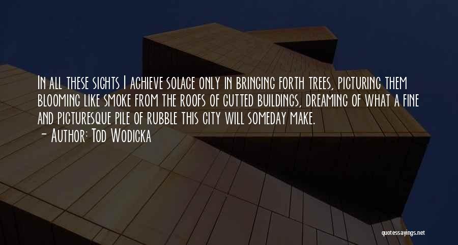 Tod Wodicka Quotes: In All These Sights I Achieve Solace Only In Bringing Forth Trees, Picturing Them Blooming Like Smoke From The Roofs