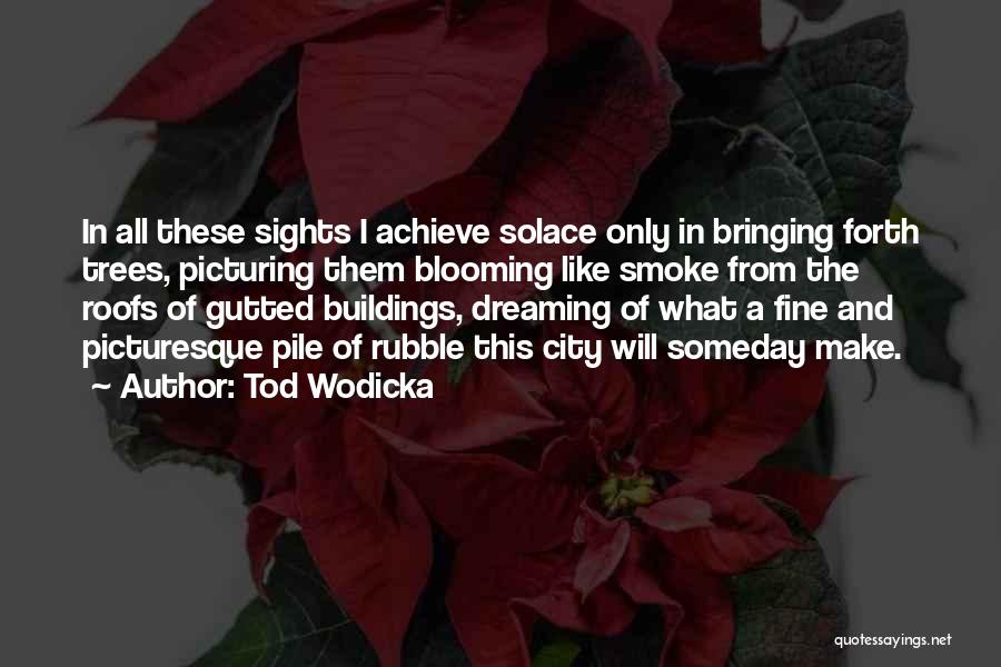 Tod Wodicka Quotes: In All These Sights I Achieve Solace Only In Bringing Forth Trees, Picturing Them Blooming Like Smoke From The Roofs