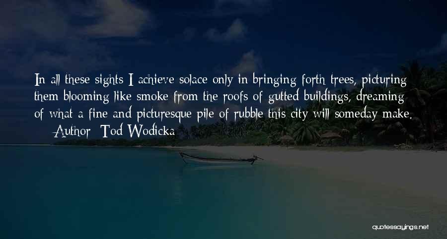 Tod Wodicka Quotes: In All These Sights I Achieve Solace Only In Bringing Forth Trees, Picturing Them Blooming Like Smoke From The Roofs