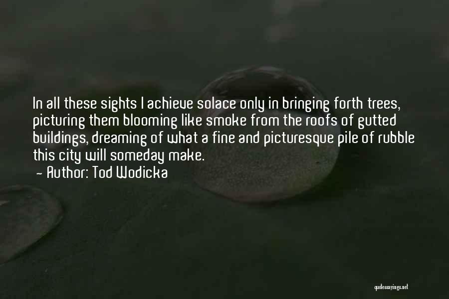 Tod Wodicka Quotes: In All These Sights I Achieve Solace Only In Bringing Forth Trees, Picturing Them Blooming Like Smoke From The Roofs