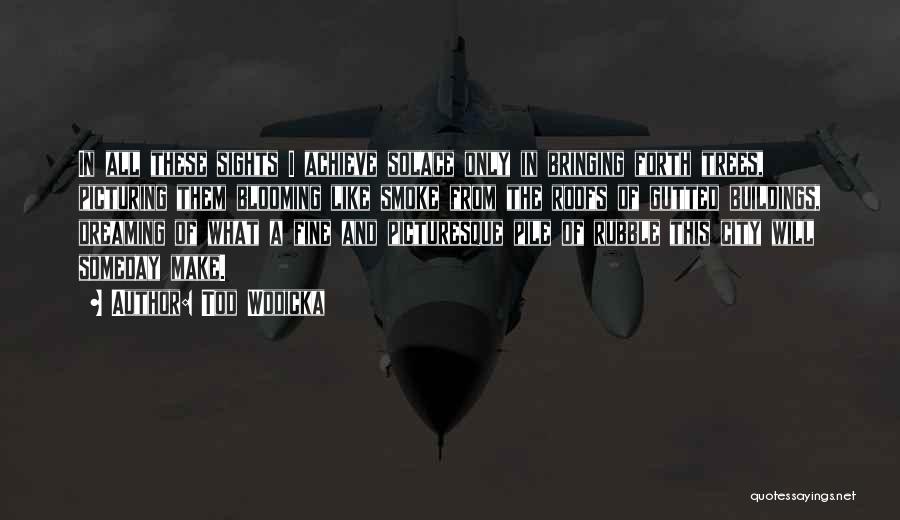 Tod Wodicka Quotes: In All These Sights I Achieve Solace Only In Bringing Forth Trees, Picturing Them Blooming Like Smoke From The Roofs