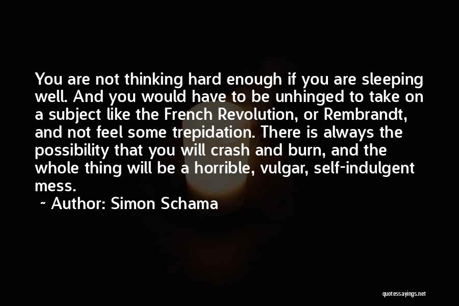 Simon Schama Quotes: You Are Not Thinking Hard Enough If You Are Sleeping Well. And You Would Have To Be Unhinged To Take