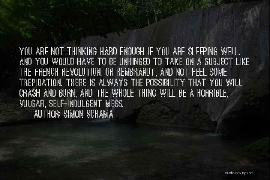 Simon Schama Quotes: You Are Not Thinking Hard Enough If You Are Sleeping Well. And You Would Have To Be Unhinged To Take