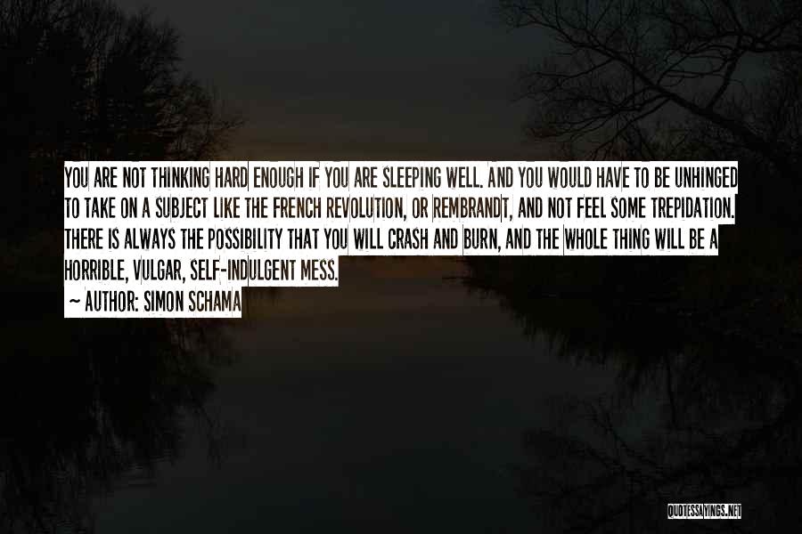 Simon Schama Quotes: You Are Not Thinking Hard Enough If You Are Sleeping Well. And You Would Have To Be Unhinged To Take